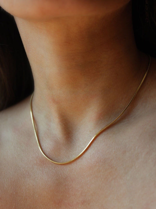 Dainty gold chocker necklace